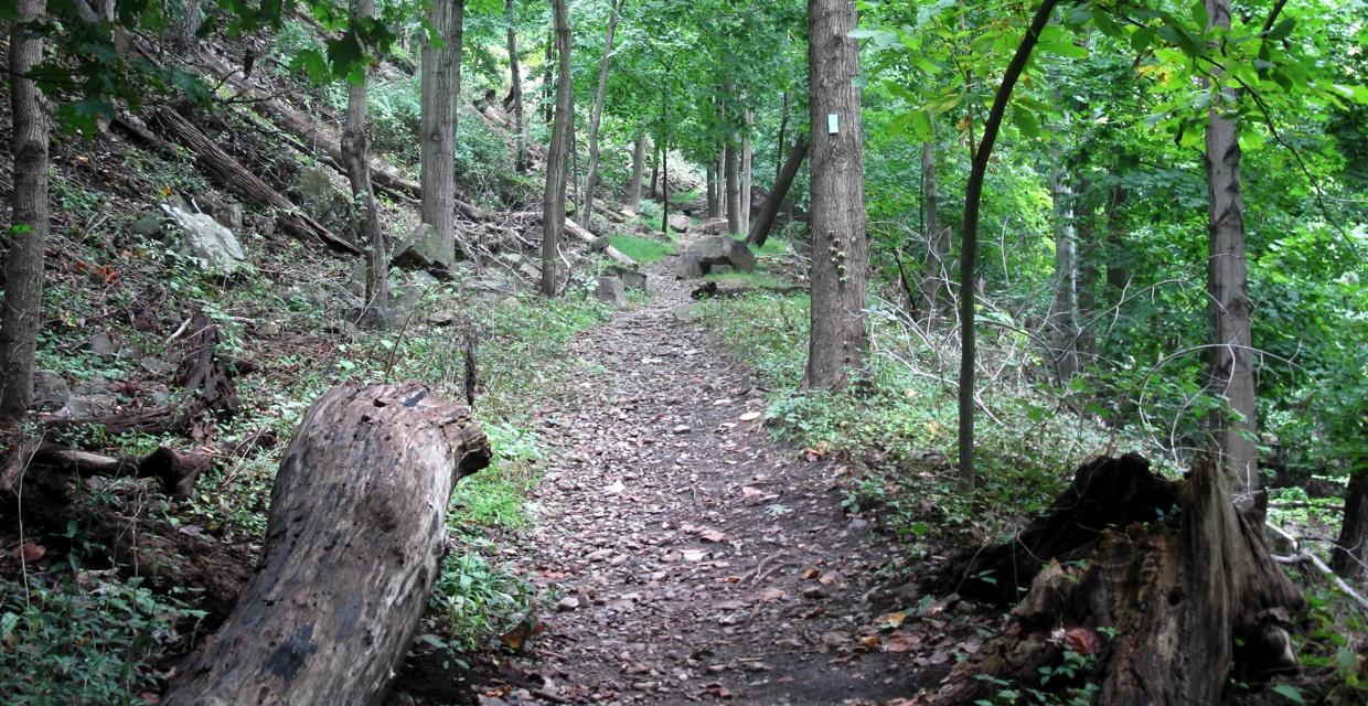 hook mountain bike